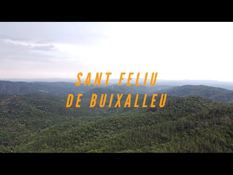 Sant Feliu de Buixalleu (Vista Aérea)