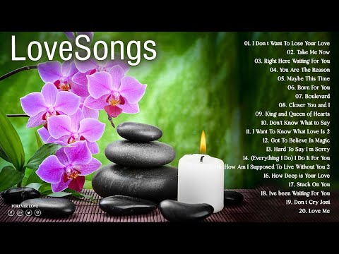 Melow Falling In Love Songs Collection 2022 - Most Beautiful Love Songs Of All Time