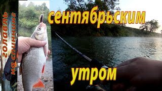 Ссылка
