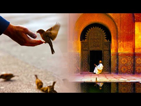 Vlera dhe shperblimi i madh qe ka ky dhiker