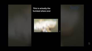 Download lagu Literally 😂#angelbeats #animefunnymoments mp3