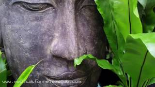 8 HOURS: Asian Meditation Background Music, Mindfulness, Relaxation
