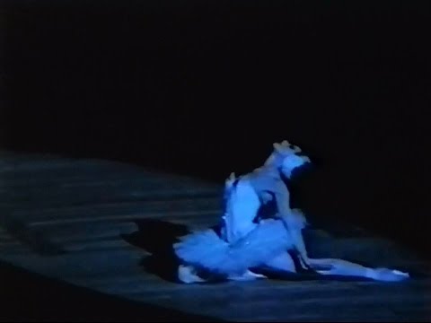 Η [[#Μάγια Πλισέτσκαγια [Maya Plisetskaya]#]] ερμηνεύει το 1976 στο Τόκιο τον «Θάνατο του κύκνου» ("Le Cygne"), σόλο για μπαλαρίνα, το οποίο χορογραφήθηκε από τον [[#Μιχαήλ Φόκιν [Mikhail Fokine]#]] το 1905, σε μουσική του&nbsp;[[#Camille Saint-Saëns [Καμίγ Σαιν-Σανς]#]].