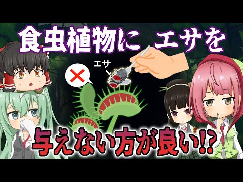 モウセンゴケヘラ