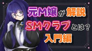 【元M嬢が解説】SMクラブってどんなところ？～入門編～【雨野千影/新人Vtuber】