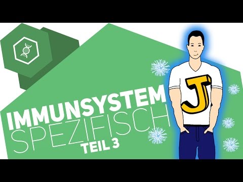 Spezifische Immunabwehr 3 - Immunsystem