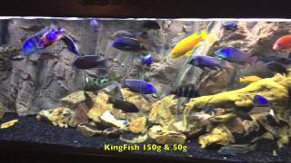 Red Empress Color Experiment Result