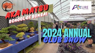 Aka Matsu School Of Bonsai Club Show 2024 at Azure Garden Centre