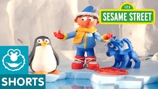 Sesame Street: Penguin | Bert and Ernie&#39;s Great Adventures