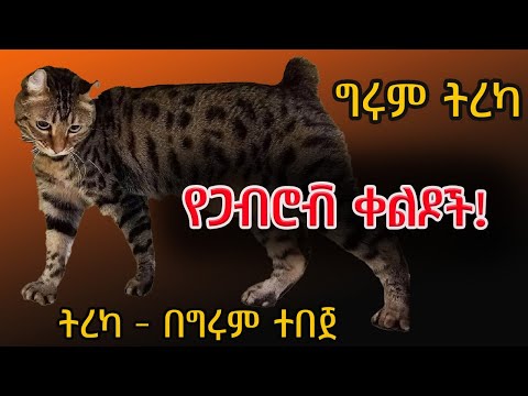 ቀልዶች ከጋብሮቭ ምድር! ትረካ - በግሩም ተበጀ Girum Tebeje @girumtereka