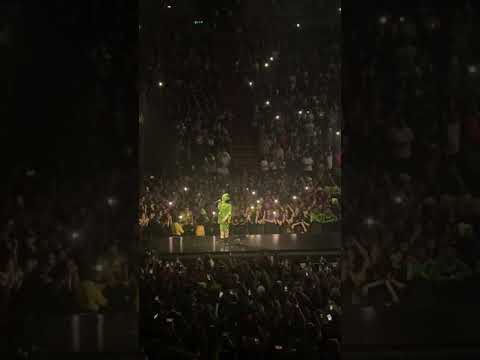 Xanny Billie Eilish現場我們去哪裡巡演邁阿密。 (Xanny Billie Eilish live Where Do We Go Tour Miami)