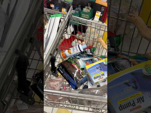 Setting Up A 20 Gallon Fish Tank (Aquarium)