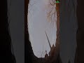 Ek Kafan Chor Ka Ibratnak Waqia Allah Ka Azab Shorts Shortsvideo