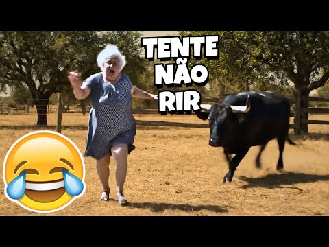 TENTE NÃO RIR: VÍDEOS ENGRAÇADOS 2025 E MEMES - #63