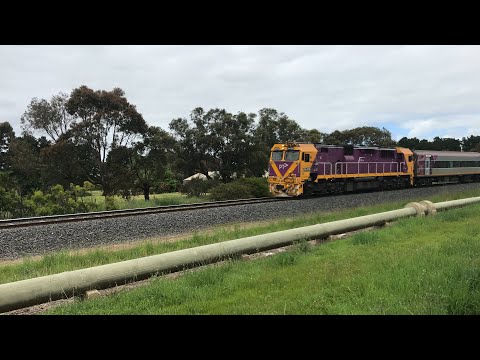 N456 in the new PTV livery