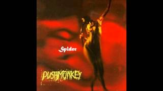 Pushmonkey - Spider