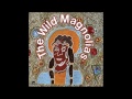 The Wild Magnolias - Corey Died On The Battlefield (Joe Claussell Remix)