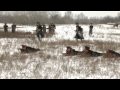 Мы контрреволюция.wmv 