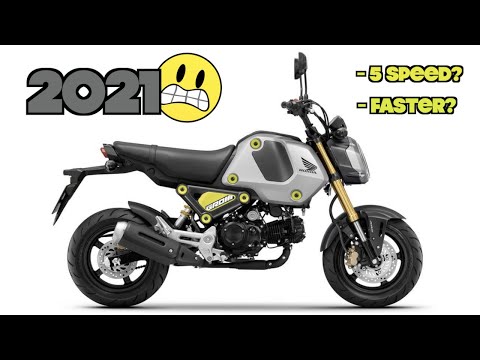 why i HATE the 2021 Honda Grom!