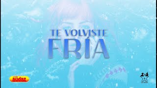 Te Volviste Fría Music Video