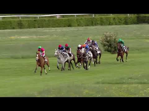 Dielsdorf/05.05.2019/Grosser Jagd Preis der Armin Hunziker AG