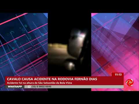 Cavalo na pista causa acidente em São Sebastião da Bela Vista