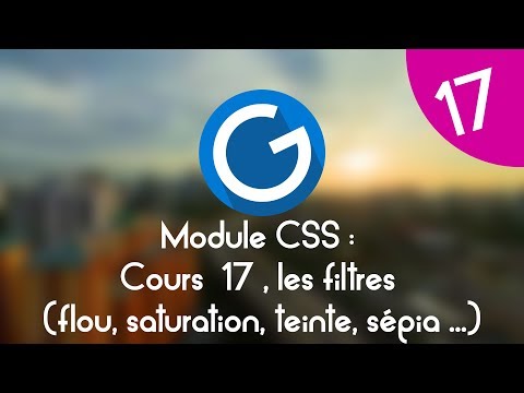 Formation IMM Module CSS Cours tuto 17 les filters css blur drop shadow sepia