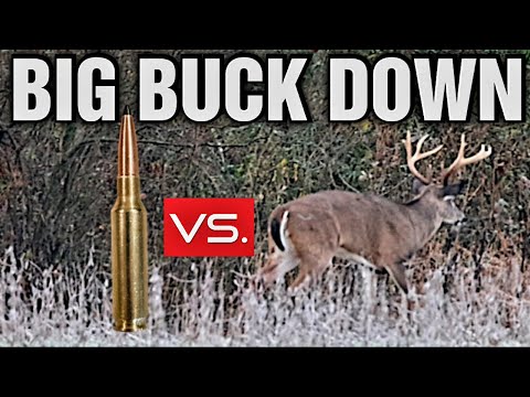 Ultimate Terminal Performance Test: Big Buck Down with New Lehigh Defense 6.5 Creedmoor Ammo