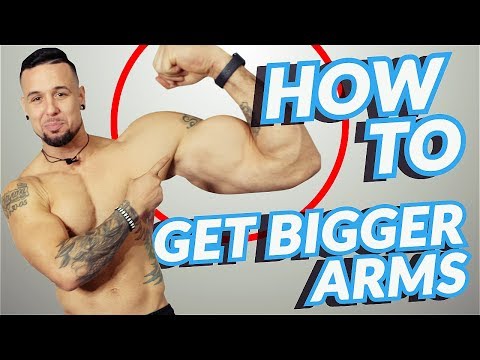 How to Build Bigger Arms | Increase Biceps & Triceps Size