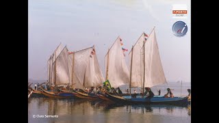 THE MOLICEIRO ART OF RIA DE AVEIRO, PORTUGAL