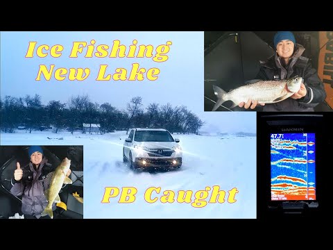 Early Ice Fishing Walleye &amp; Cisco (Garmin Striker 4 Action)