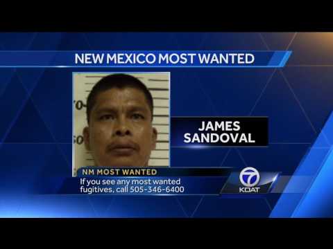 Nm Most Wanted