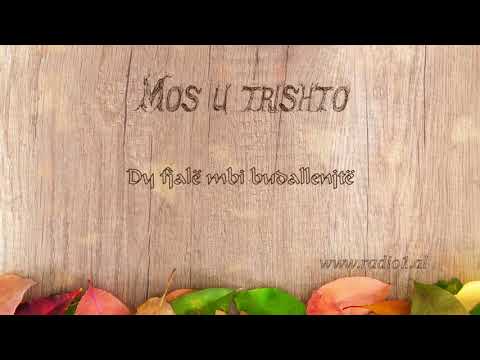 Mos u Trishto 32 Dy fjale mbi budallenjte