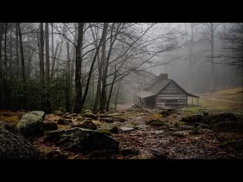 Расслабляющий дождь и гроза в туманном лесу   звуки дождя и грома для сна