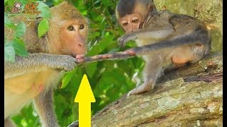 WOW surprise ! So excited see Lori get nurse by maria and Dolly while her mom weakness not care.