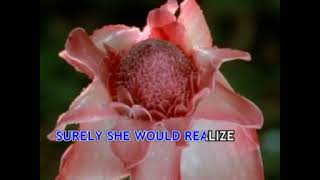 98 degrees - If She Only Knew