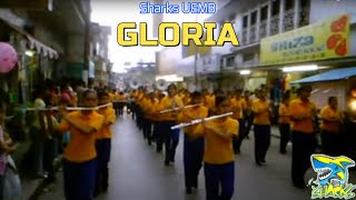 preview picture of video 'Sharks UEMB: Gloria'