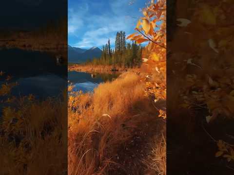 The perfect Indian Summer in Banff, Canada 🍁