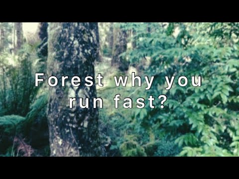 Istasha x Na$tii - Forrest HD Lyrics