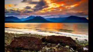 Van Morrison  I need Your Kind Of Loving