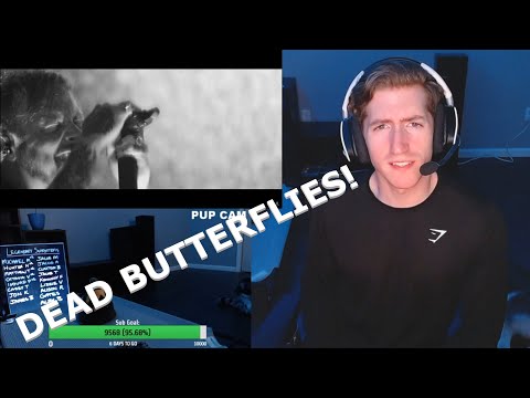 Chris REACTS to Architects - Dead Butterflies
