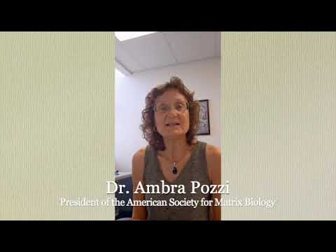 ASMB Celebrates National Postdoc Appreciation Week 2025