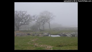 Dead Can Dance - Song Of The Dispossessed -