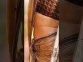 Samyuktha Menon Samyukthamenon Actress Hot Navel Saree Sexy Samyuktha