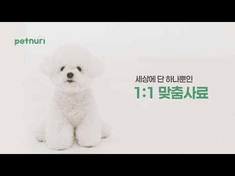펫누리 – 반려동물 AI 건강검진 · 맞춤사료