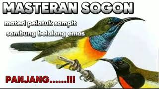 Download lagu MASTERAN SOGON MATERI PELATUK SAMPIT SAMBUNG BELALANG EMAS AMPUH mp3