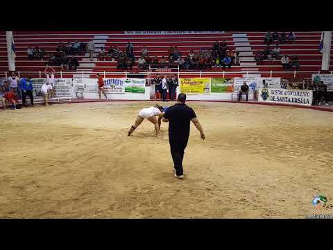 LUCHA CANARIA - Cl Tijarafe Guanche contra Cl Tegueste 11/11/2017