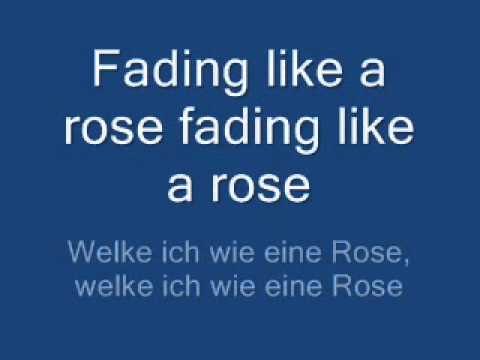 fading like a flower - roxette [lyrics + übersetzung]