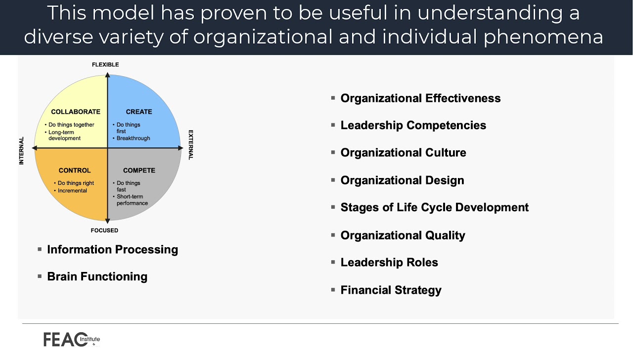 Competing Values Framework