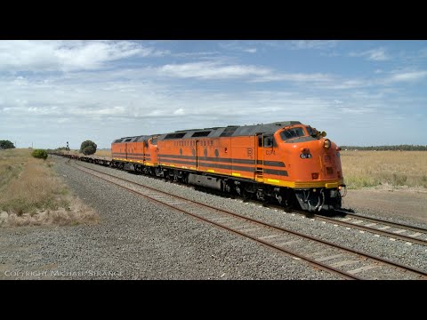 CLF4 & CLF2 With SCT 9721V Empty Dooen Container Wagons (20/2/2021) PoathTV Trains In Australia